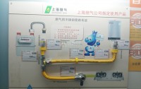 燃?xì)夤艿滥懿荒茏约焊?我勸你別亂動(dòng)！