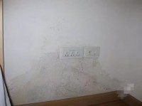 一樓的房真的不能買嗎 送多少平也別買？